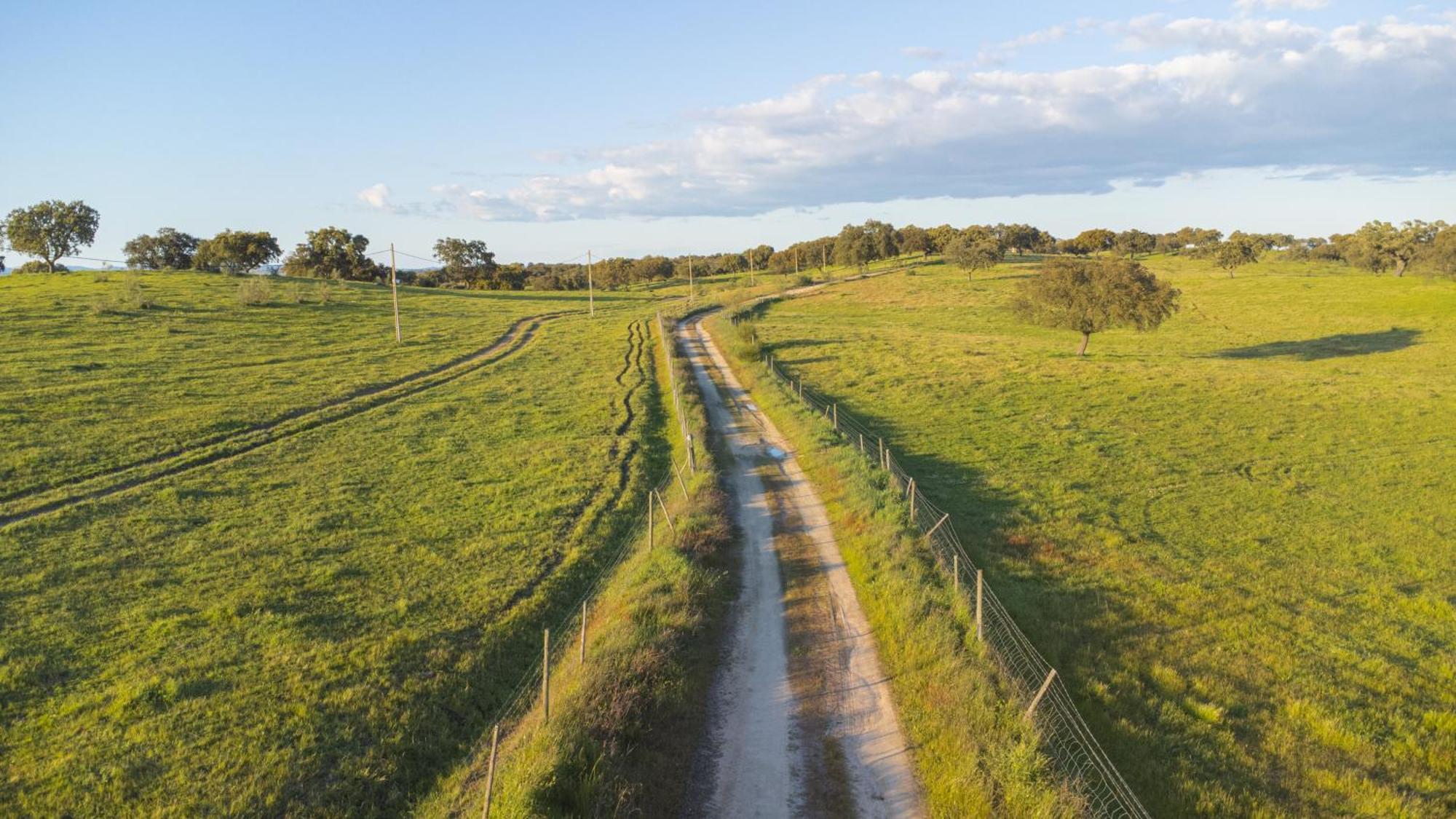 Herdade Do Charito Elvas Exteriör bild